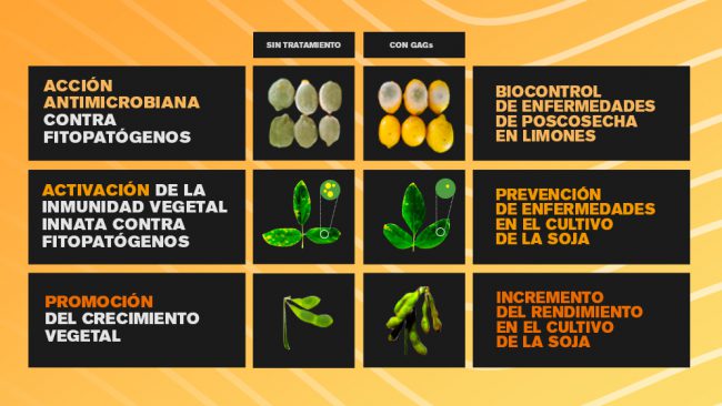 placa_GAGS_Aplicaciones