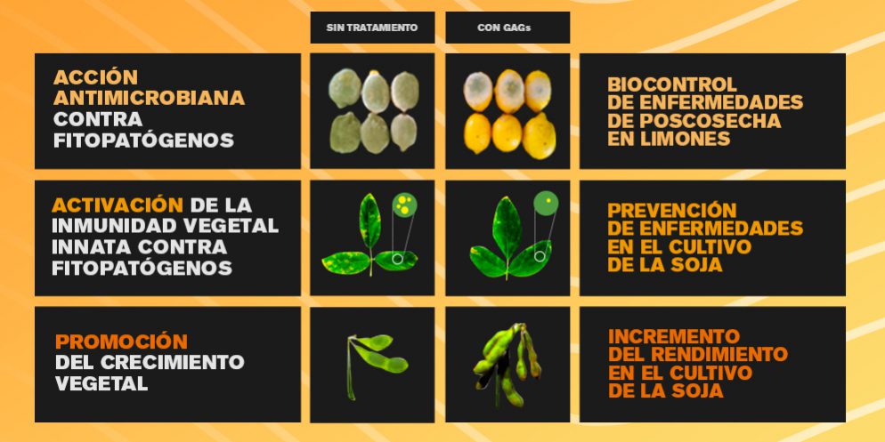 placa_GAGS_Aplicaciones