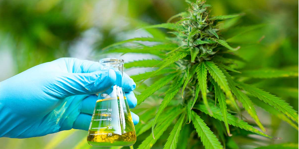 Captura de pantalla 2022-07-14 144034