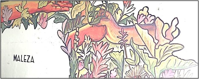 WhatsApp Image 2022-07-22 at 8.40.58 AM