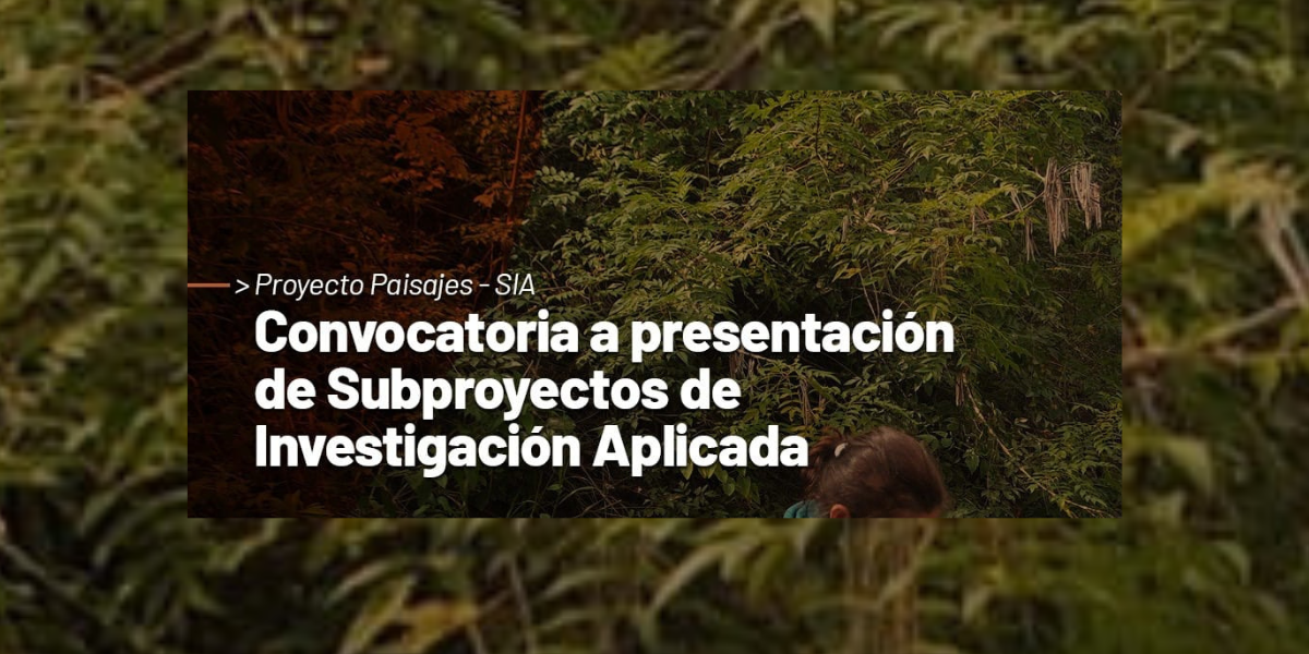 Diseño sin título (3)