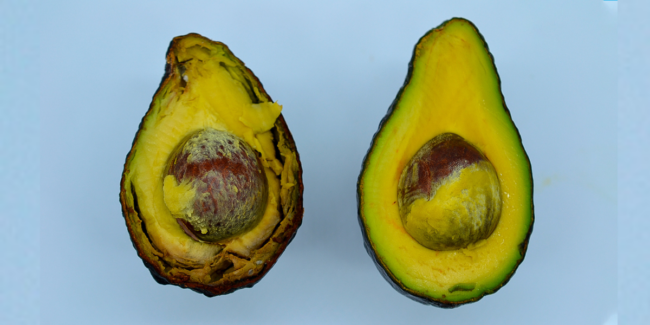 24.02.21 Bioproducto vegetales