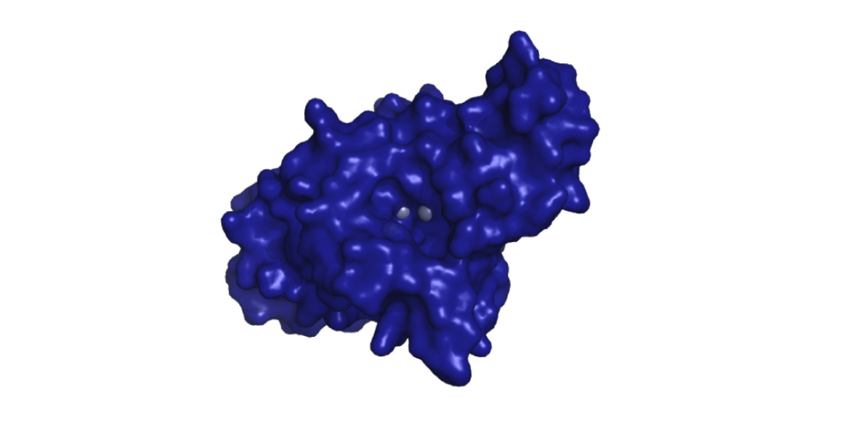 2024-03-25 – Nueva enzima aceite