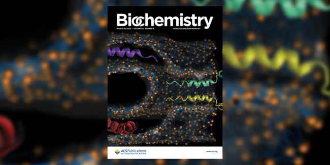 2024-04-15 – Proteina en celulas musculares