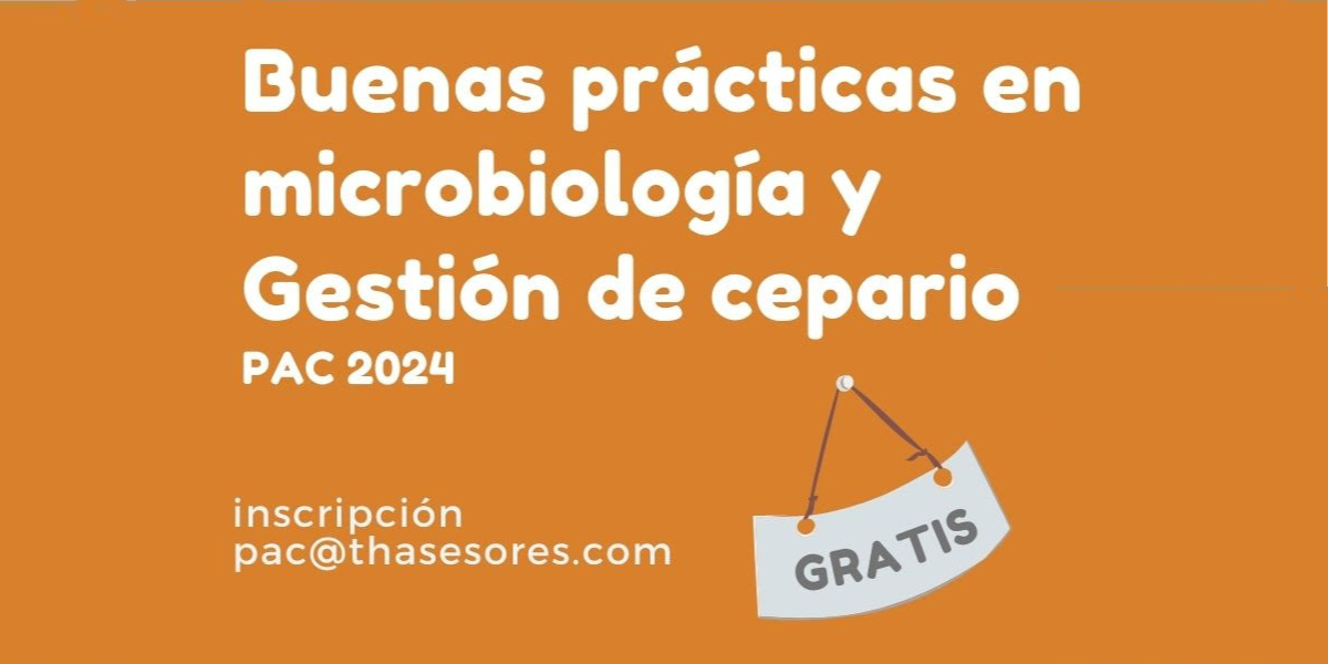 2024-05-20 – TH PAC 2024 Modulo 3