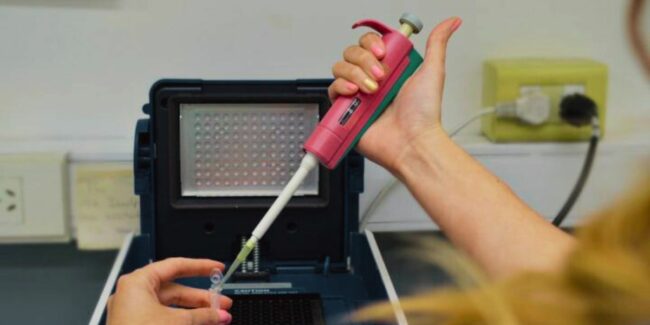 2024-08-08 Diagnostico amiloidosis