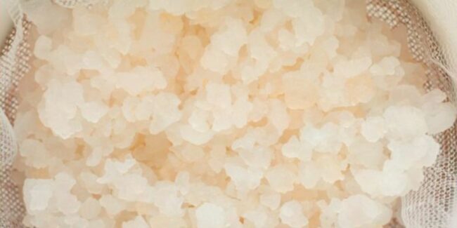 2024-08-20 – kefir