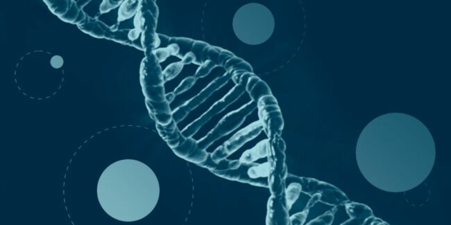 2024-08-26 – Cancer de mama