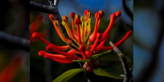 2024-09-02 – Manual RRGG