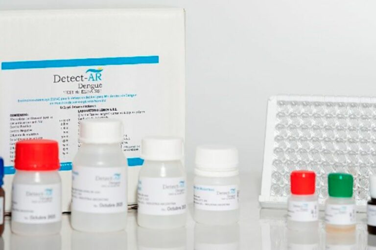 2024-11-20 – Test Dengue