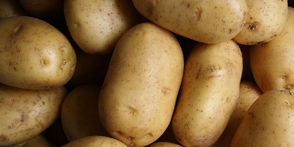 2024-12-09 – Tuberculos resistentes