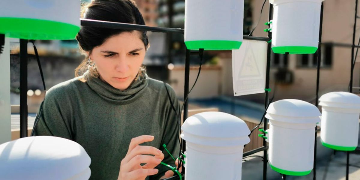 2024-12-23 – sensores IA