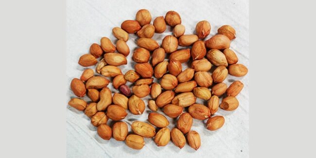 2025-01-09 – mani antidengue