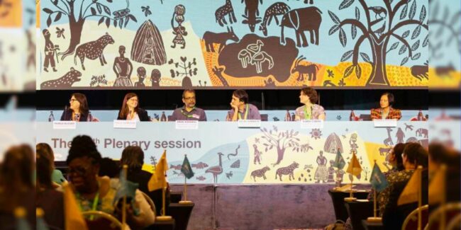 2025-01-13 – XI IPBES 2025