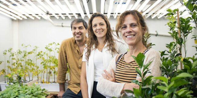 2025-02-13 – Romero