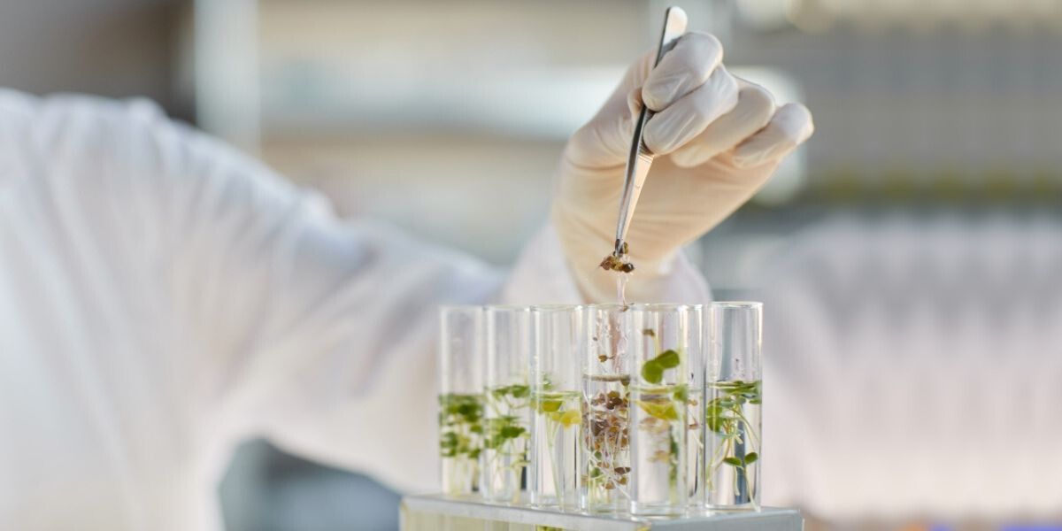 2025-02-17 – AxaChair