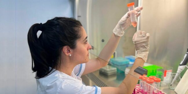 2025-02-26 – testeo de productos