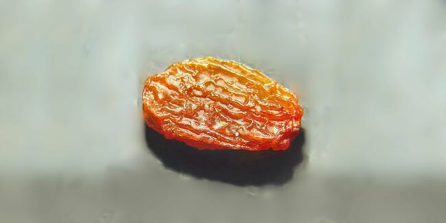 25.03.10 – pasasdeuva