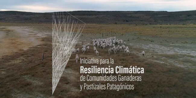 2025-07-02 – Readiness Web y Doc