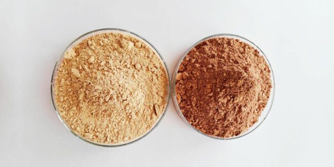 25.08.07 – nuevos alimentos