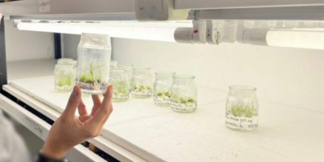 Web portada 1200×600