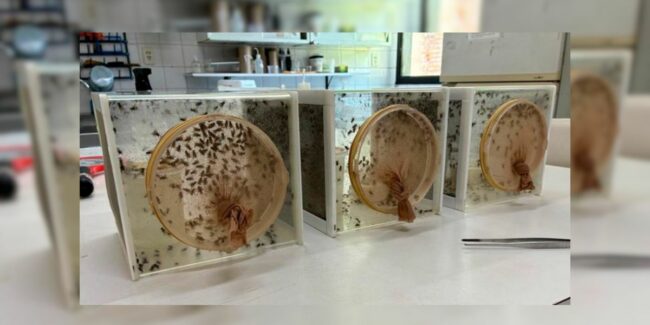 Web portada 1200×600