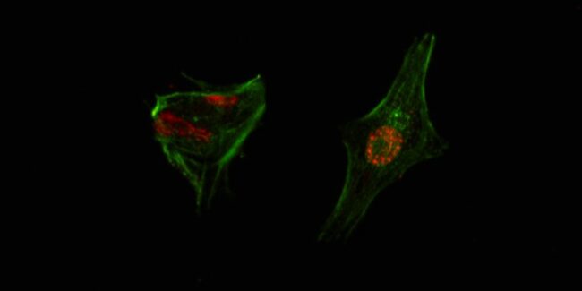 Web portada 1200×600